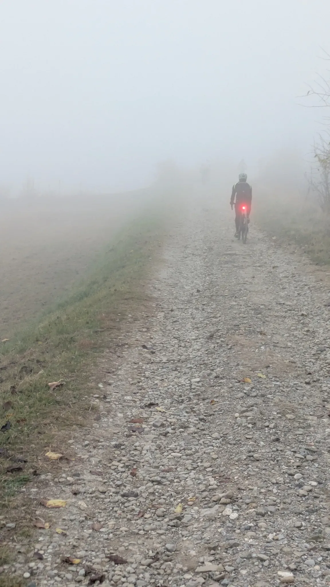 The queue of the peloton