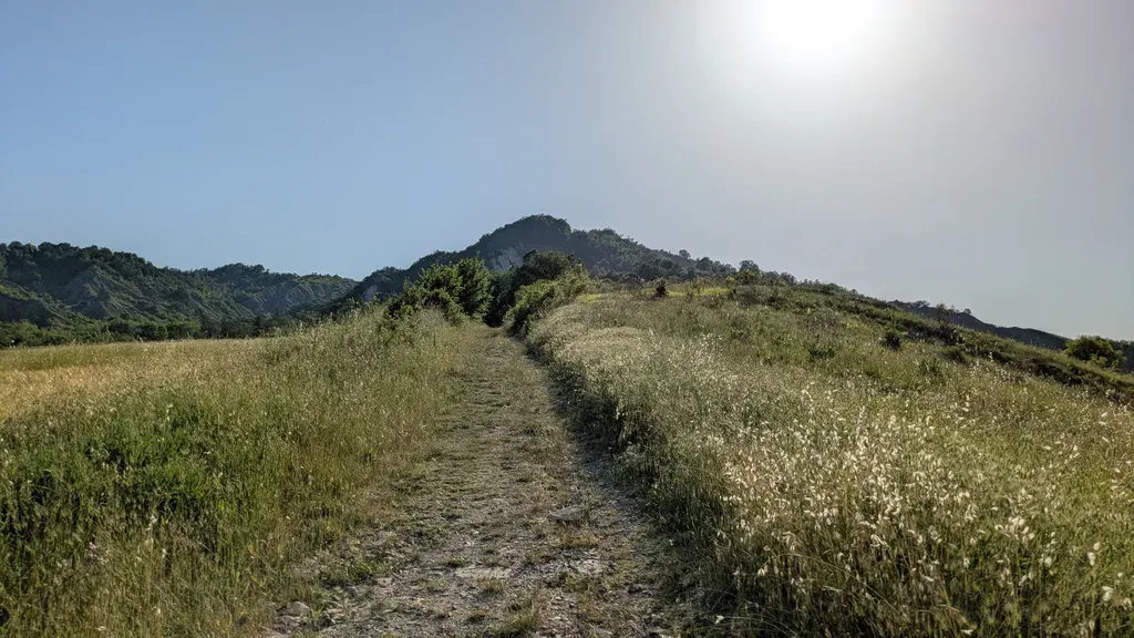 image box