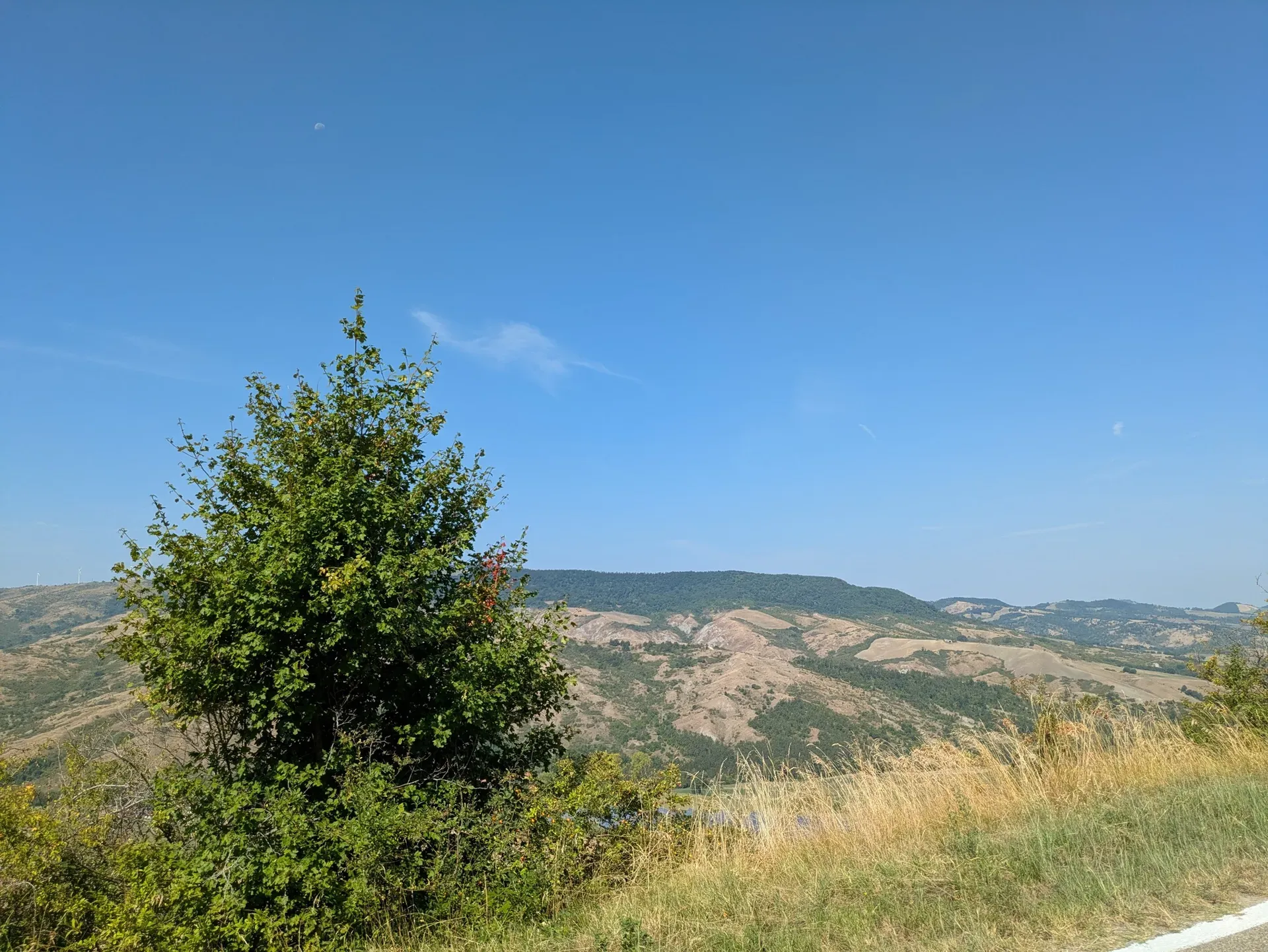 image box