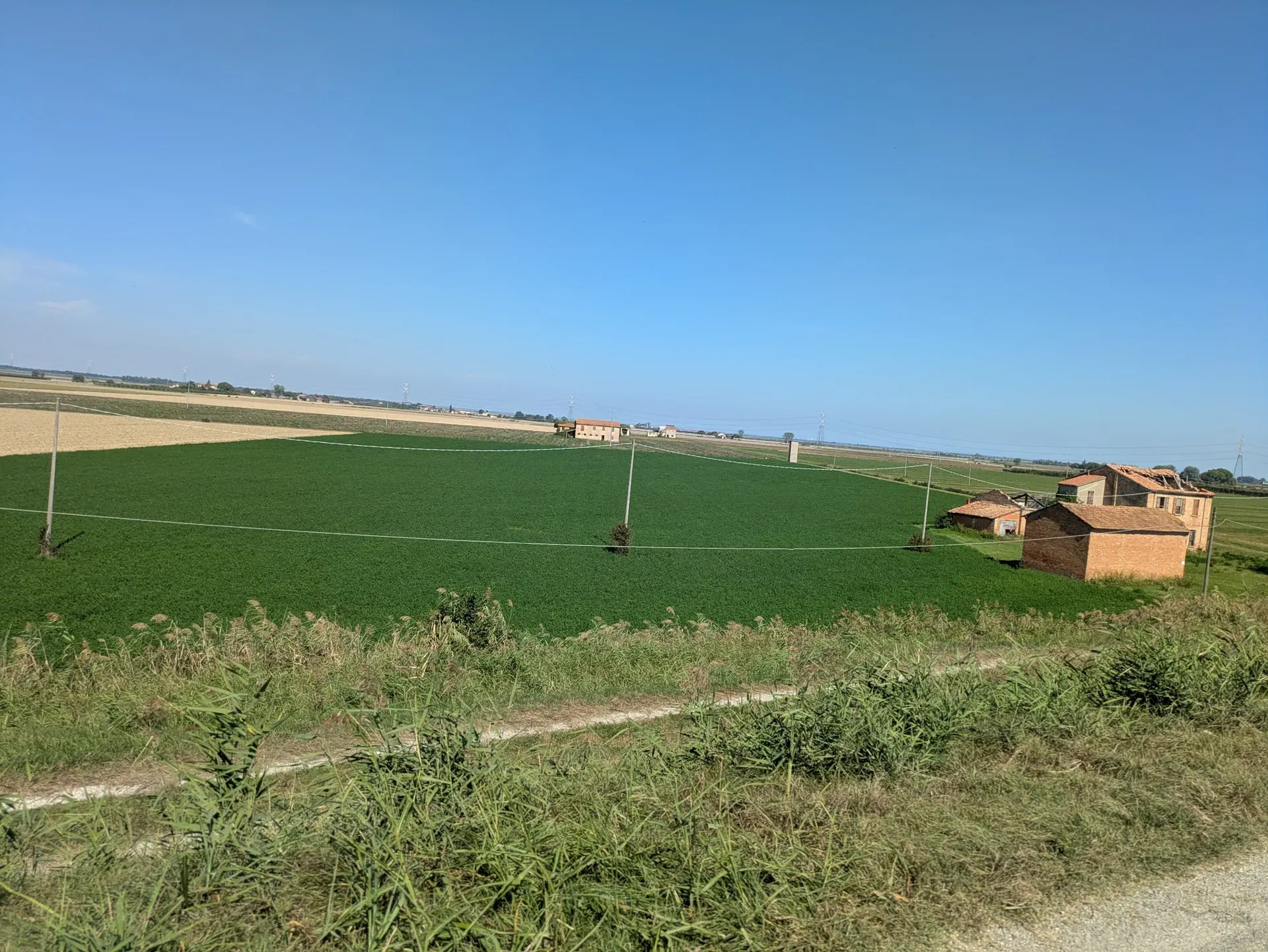 image box