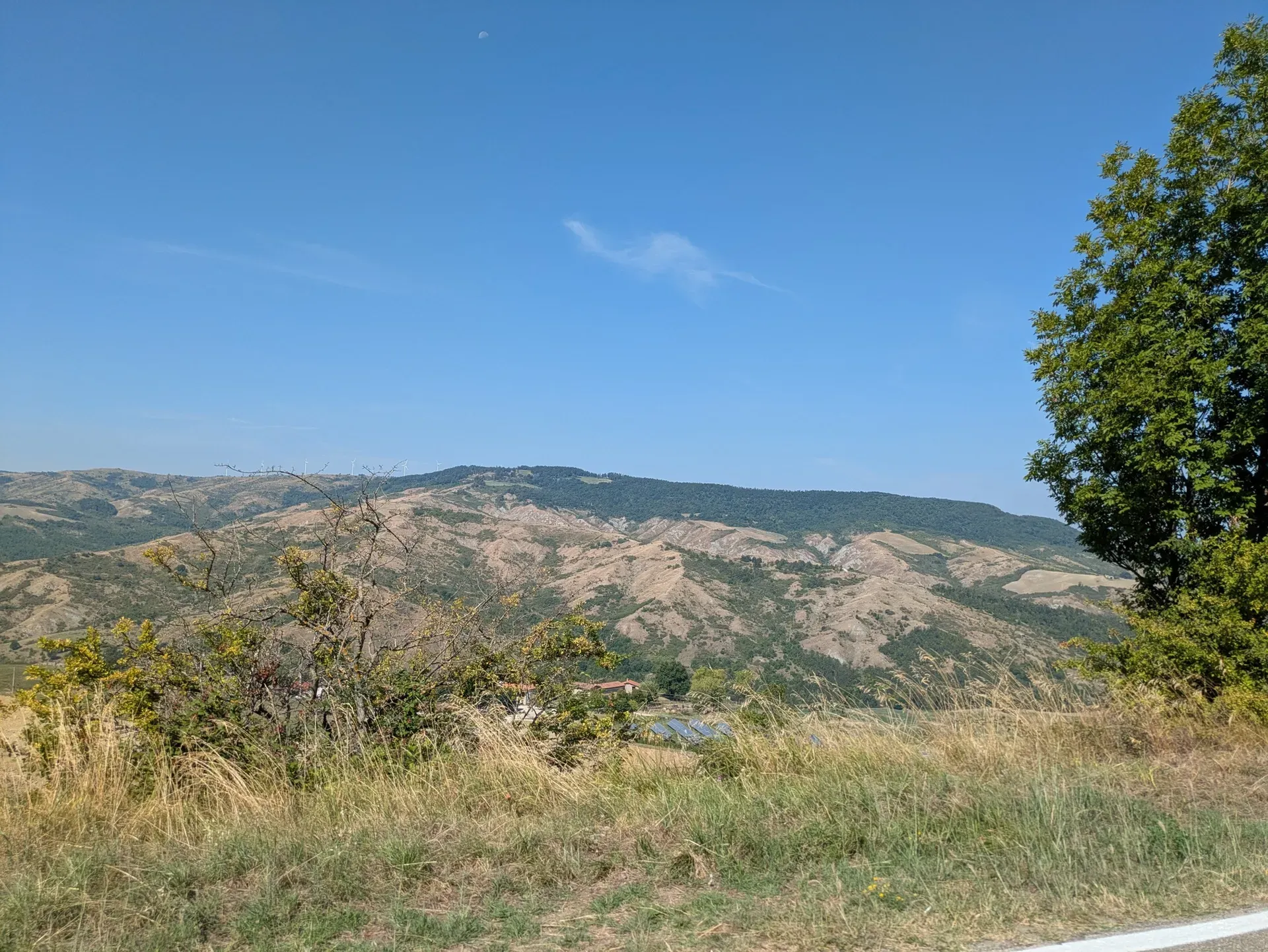 image box