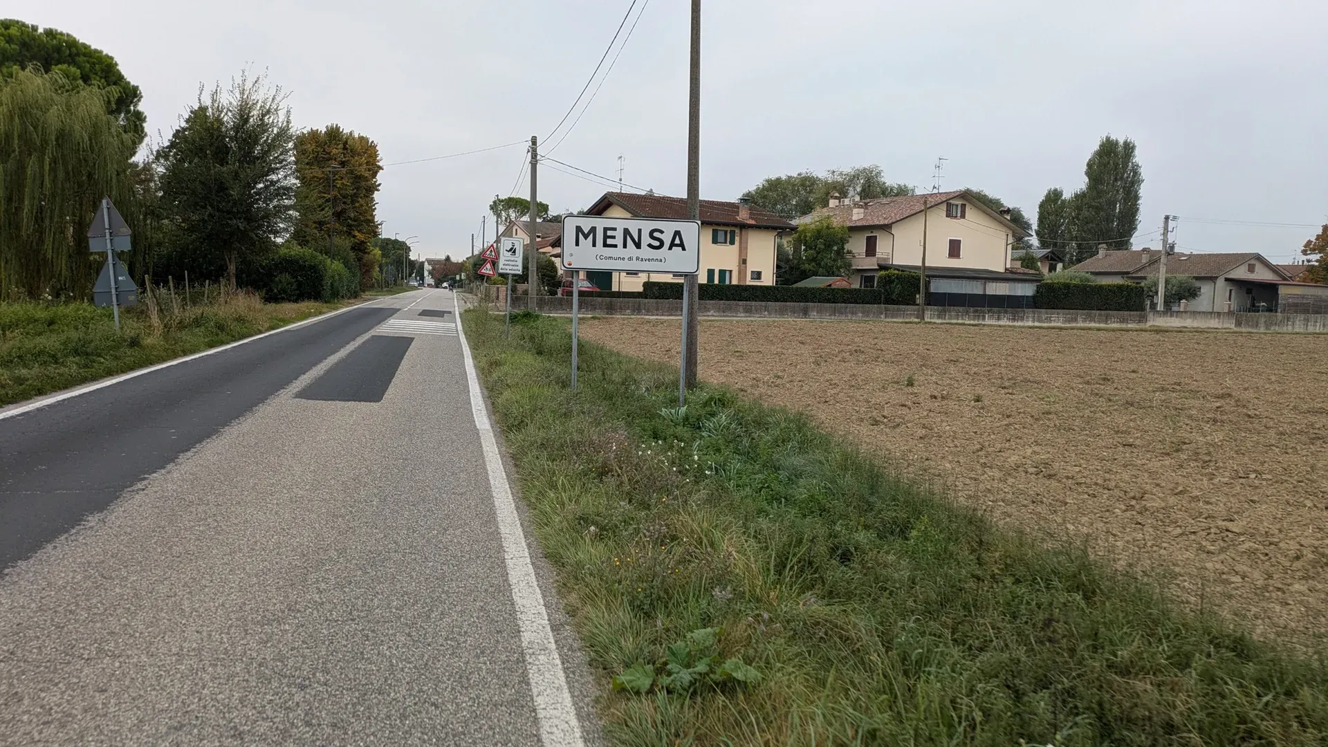 Mensa