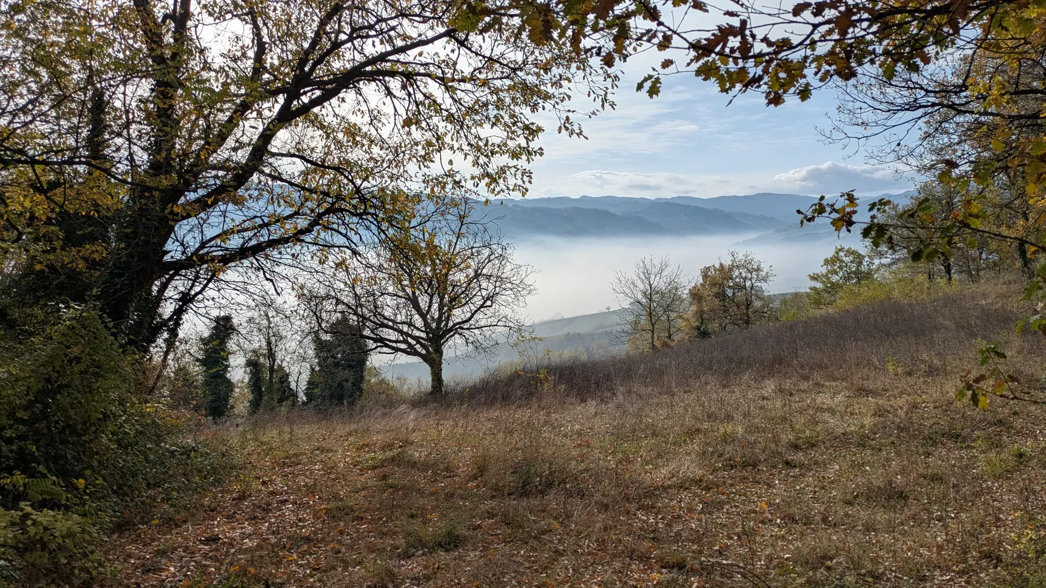 image box