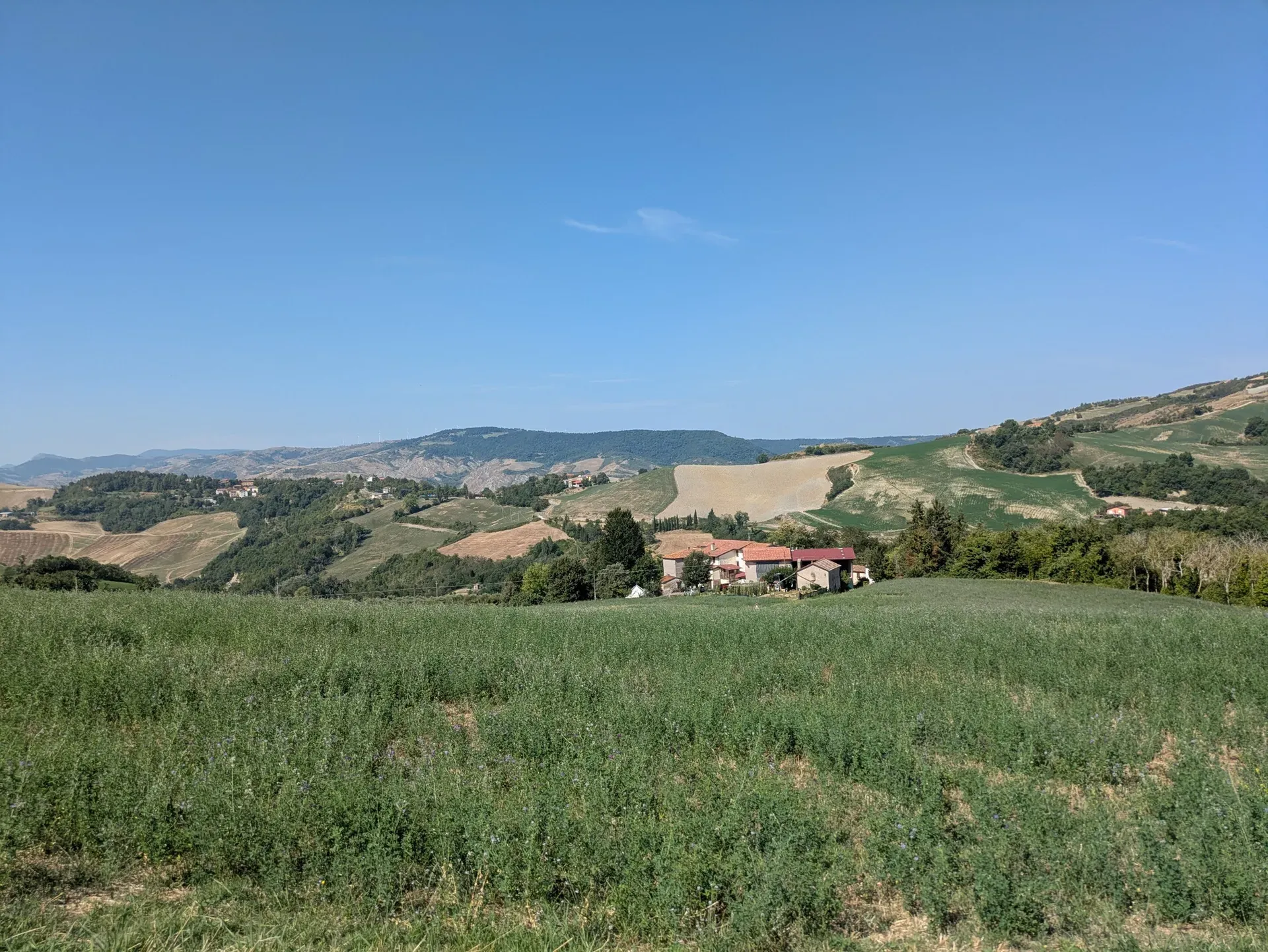 image box