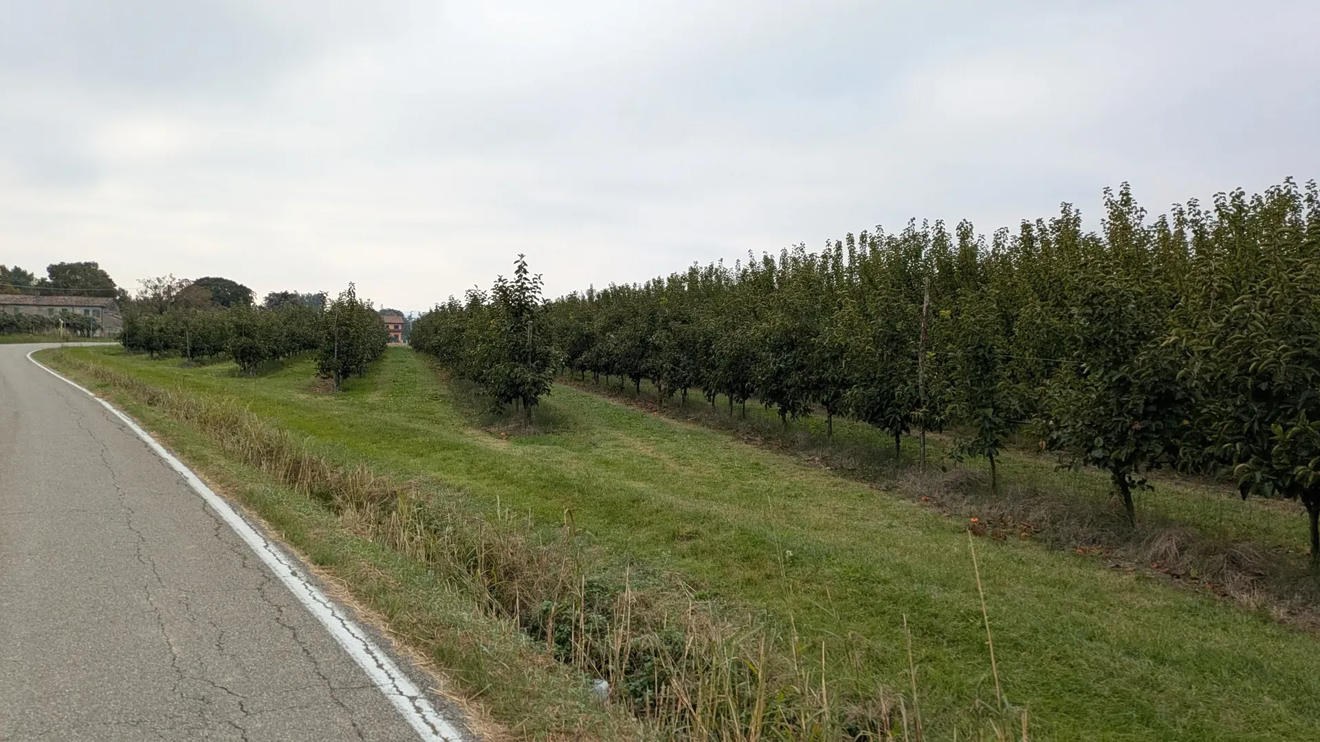 Orchards