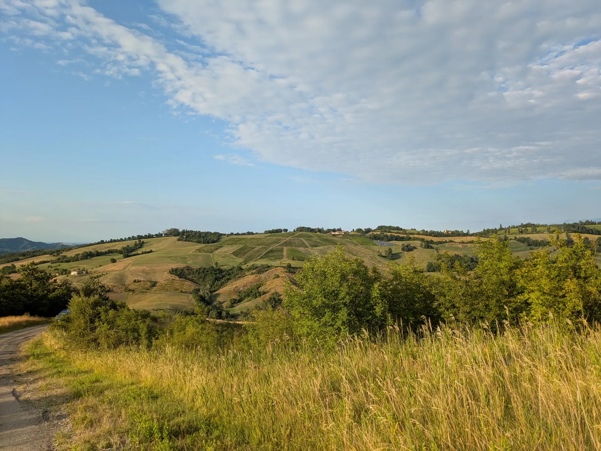 image box