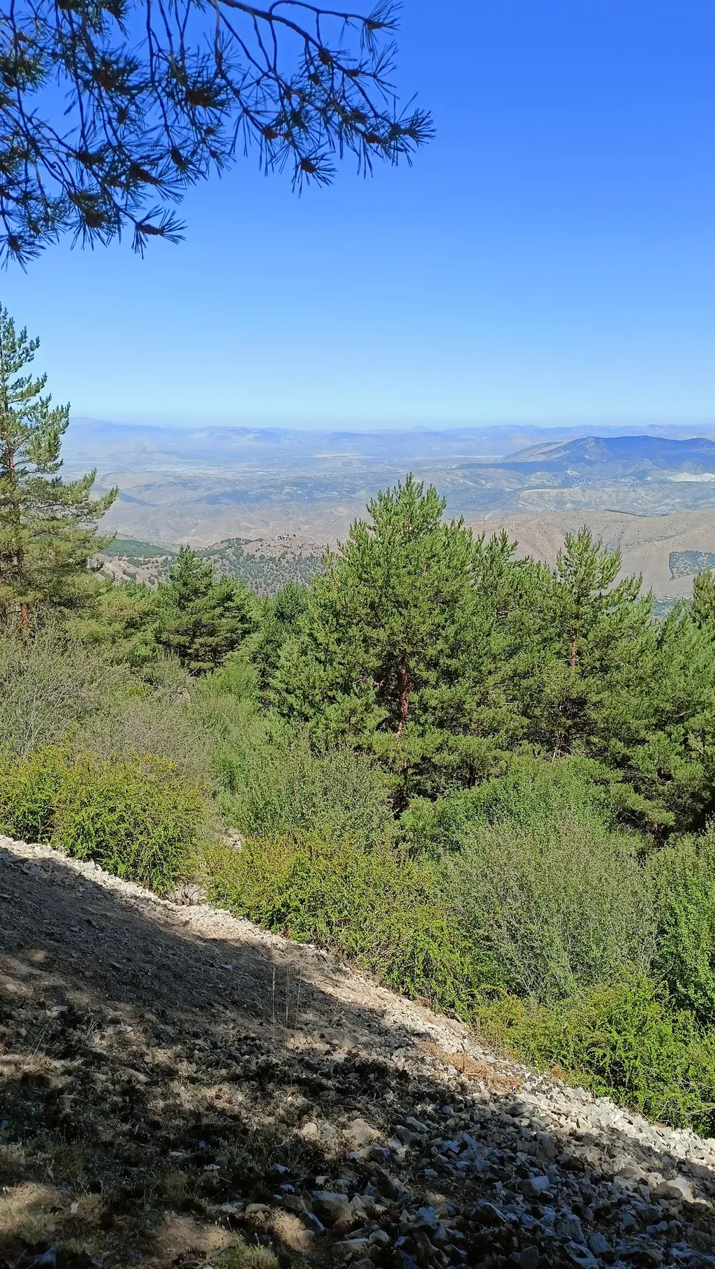 image box