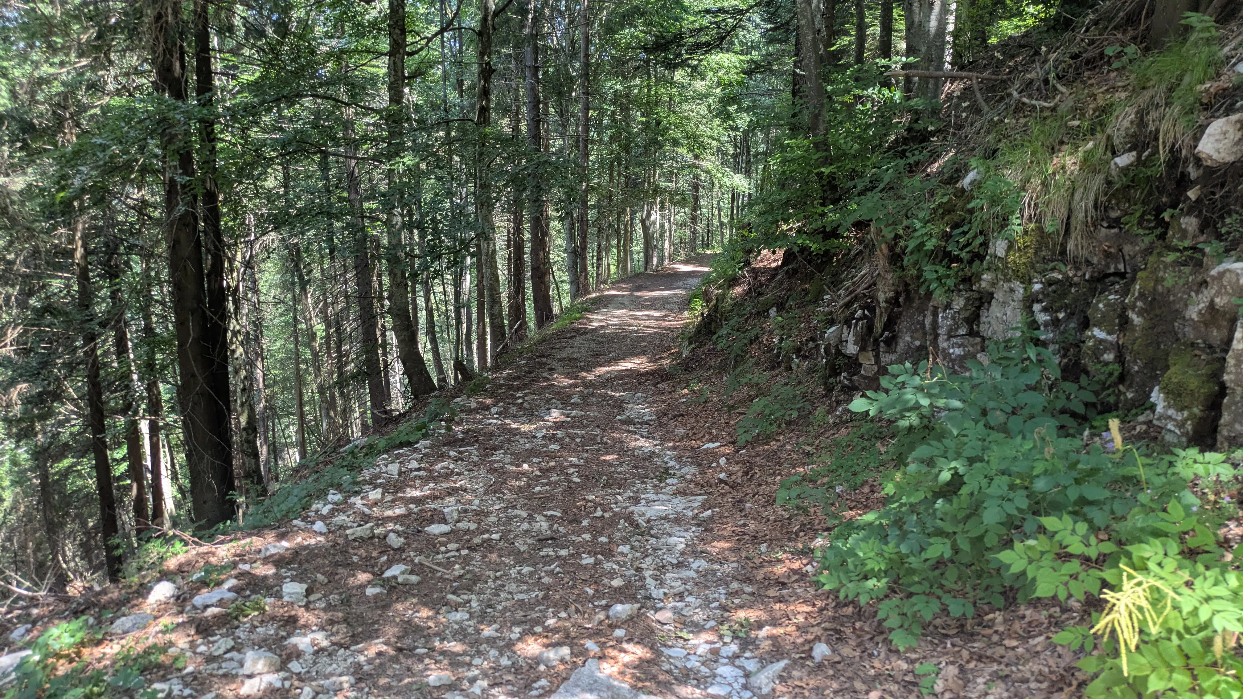 The path continues