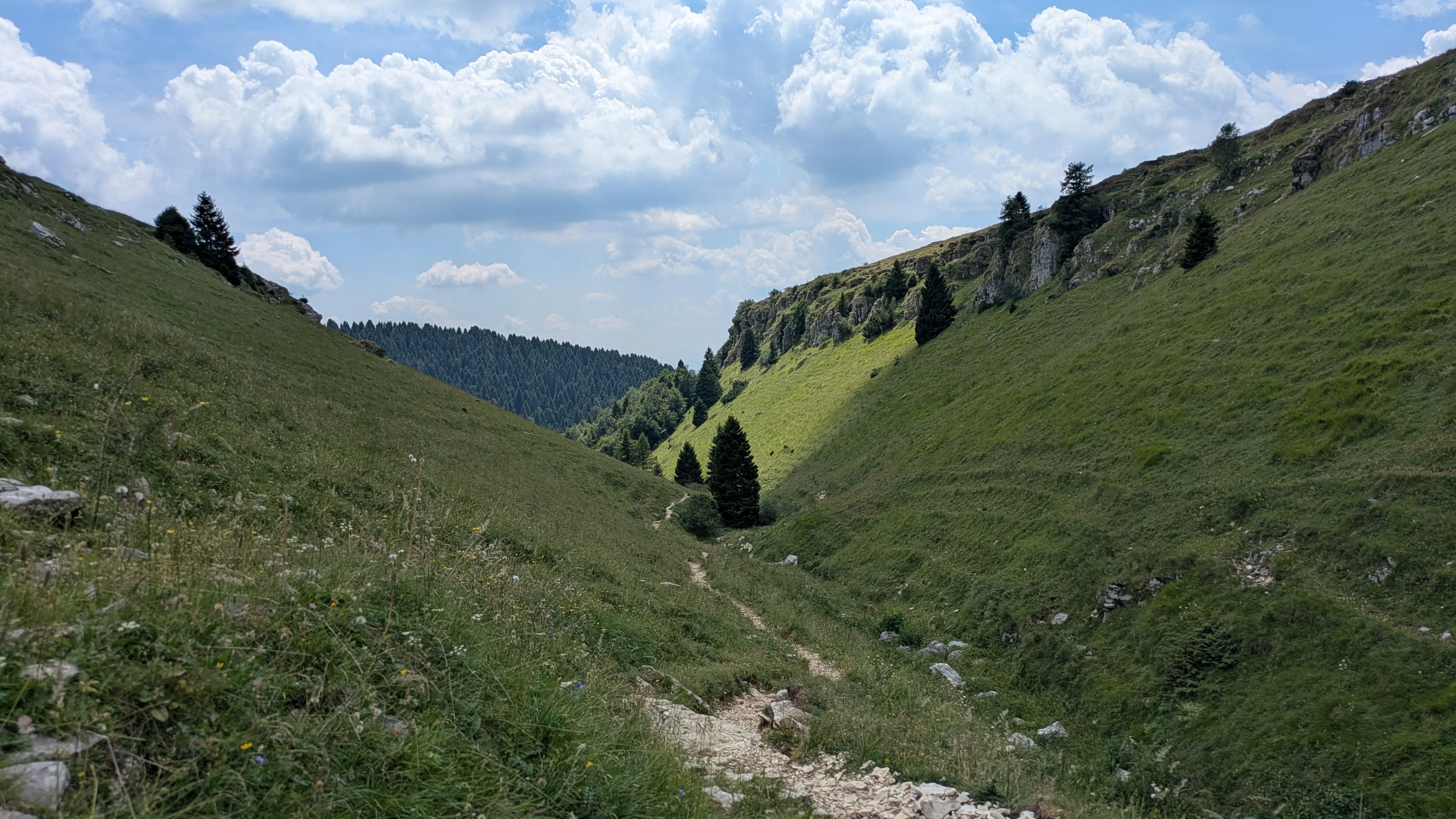 image box